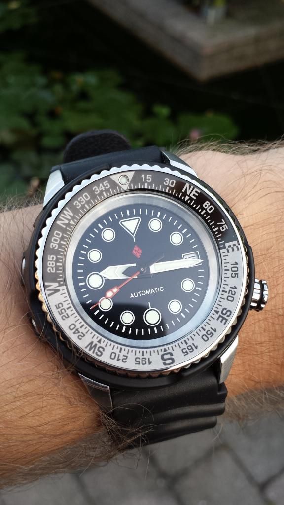 seiko 5 baby tuna